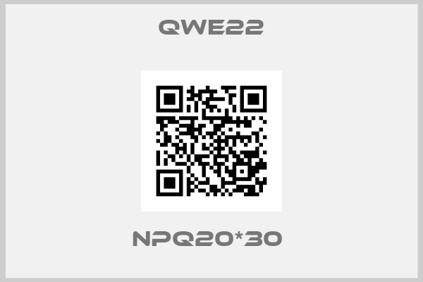 QWE22-NPQ20*30 