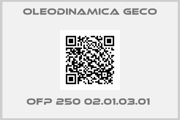 Oleodinamica Geco-OFP 250 02.01.03.01 