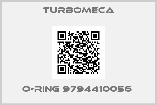 Turbomeca-O-RING 9794410056 