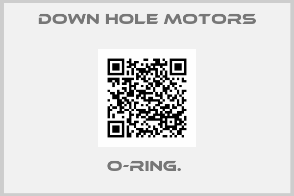 Down Hole Motors-O-RING. 