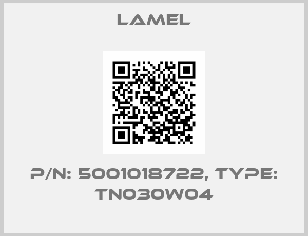 Lamel-P/N: 5001018722, Type: TN030W04
