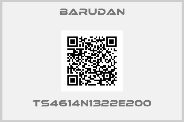 BARUDAN-TS4614N1322E200