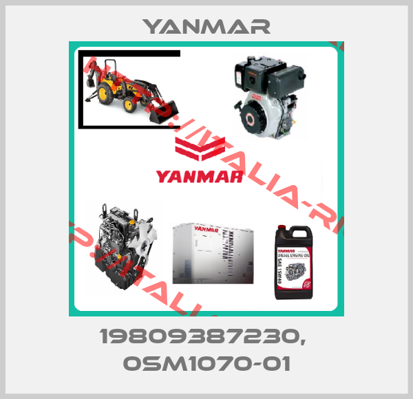 Yanmar-19809387230,  0SM1070-01