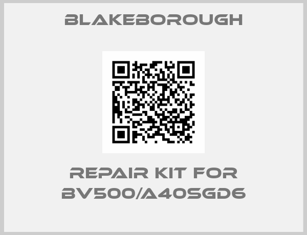 Blakeborough-Repair Kit For BV500/A40SGD6