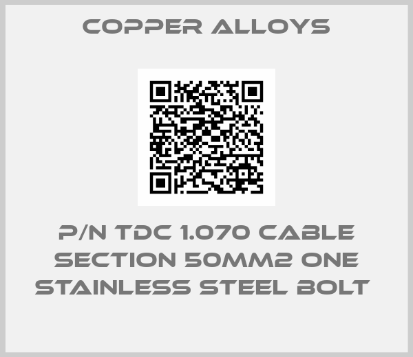 Copper Alloys-P/N TDC 1.070 CABLE SECTION 50MM2 ONE STAINLESS STEEL BOLT 