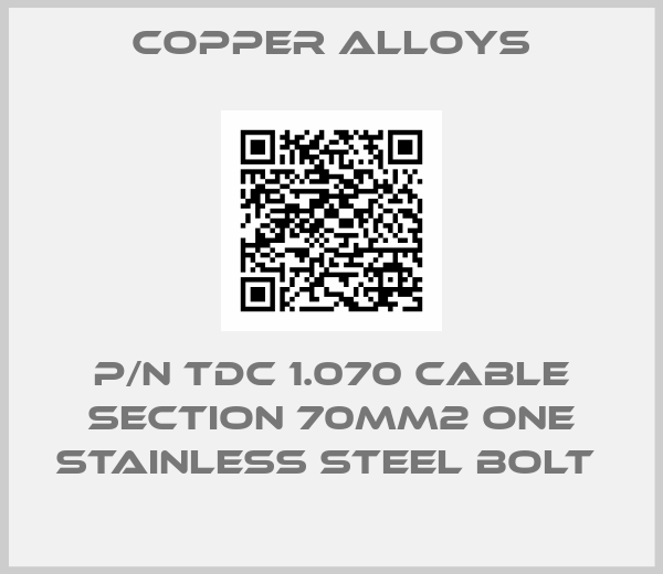 Copper Alloys-P/N TDC 1.070 CABLE SECTION 70MM2 ONE STAINLESS STEEL BOLT 