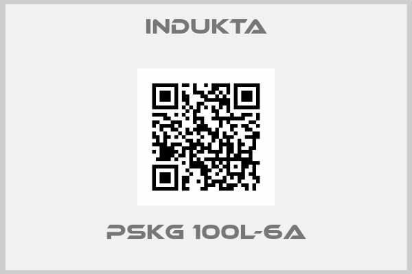 Indukta-PSKg 100L-6A