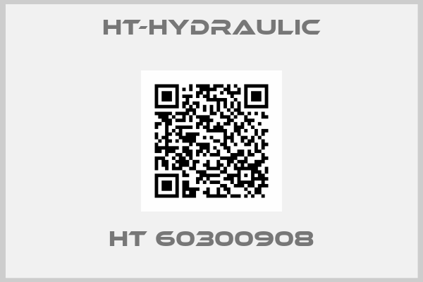 ht-hydraulic-HT 60300908