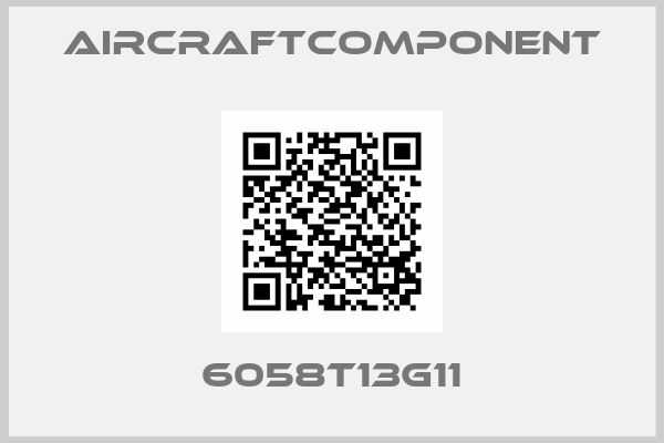 aircraftcomponent-6058T13G11