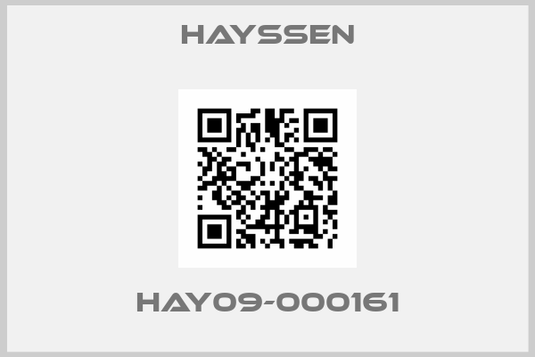 HAYSSEN-HAY09-000161