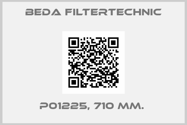 Beda Filtertechnic-P01225, 710 MM. 