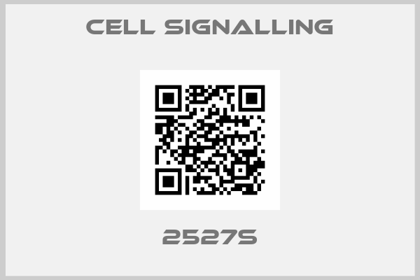Cell Signalling-2527S