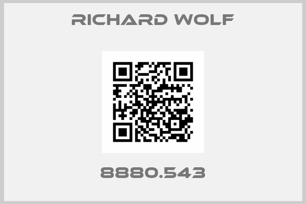 RICHARD WOLF-8880.543