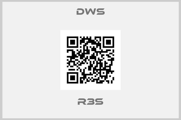 DWS-R3S