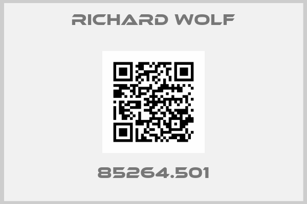 RICHARD WOLF-85264.501