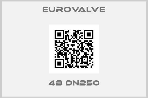 Eurovalve-4B DN250