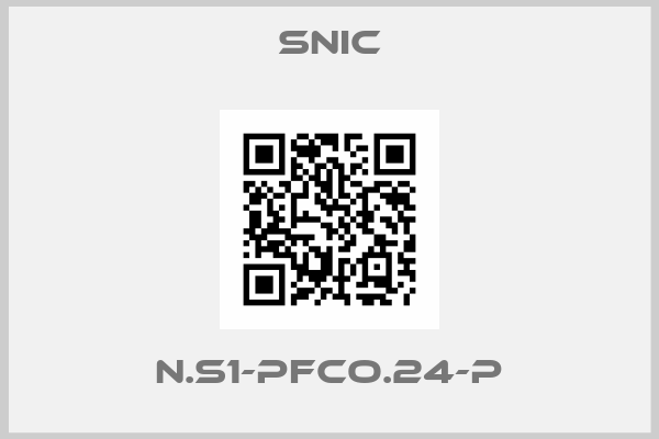 SNIC-N.S1-PFCo.24-P