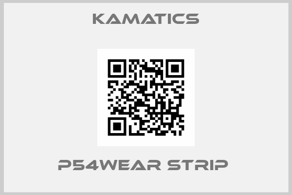 Kamatics-P54WEAR STRIP 