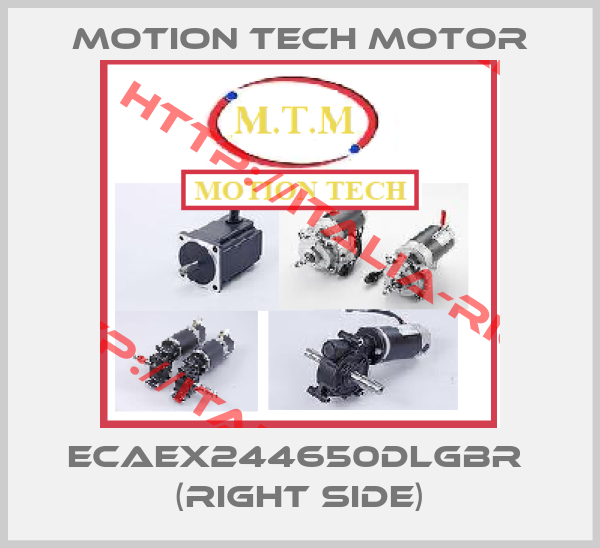MOTION TECH MOTOR-ECAEX244650DLGBR  (right side)