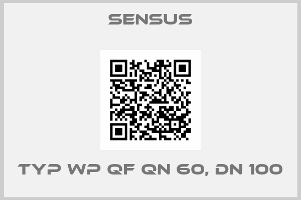 Sensus-Typ WP QF QN 60, DN 100