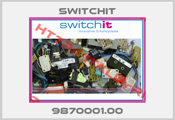 Switchit-9870001.00