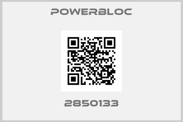 Powerbloc-2850133