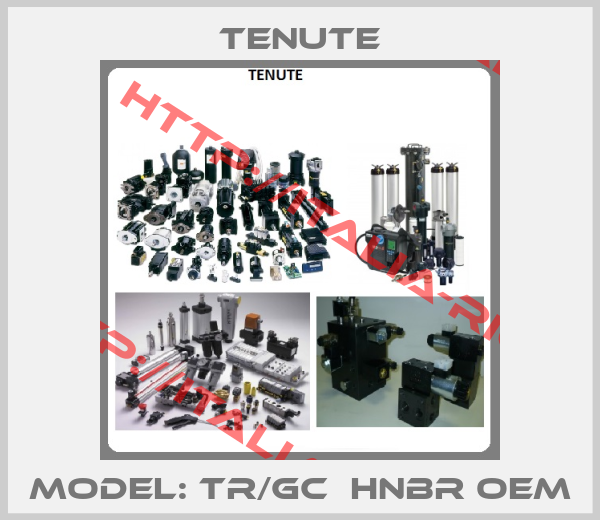 TENUTE-Model: TR/GC  HNBR oem