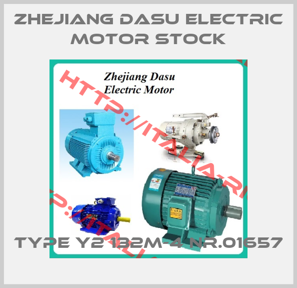 Zhejiang Dasu Electric Motor Stock-TYPE Y2 132M-4 Nr.01657
