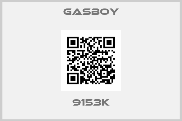 Gasboy-9153K