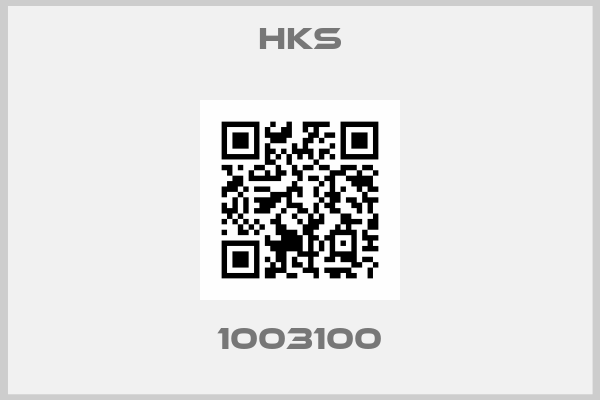 Hks-1003100