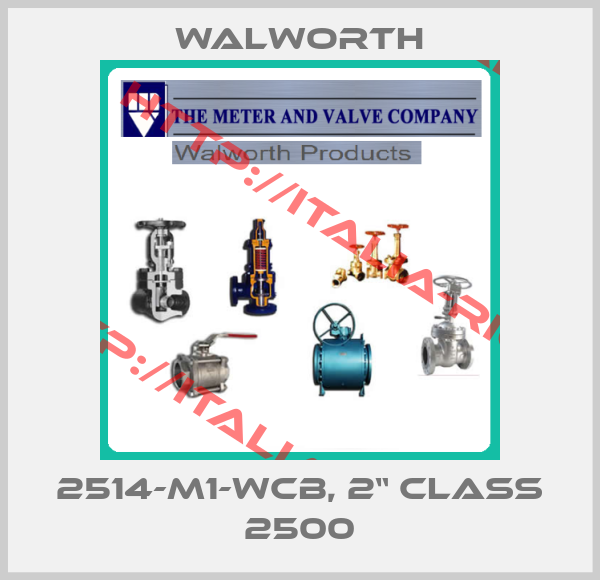 Walworth-2514-M1-WCB, 2“ Class 2500