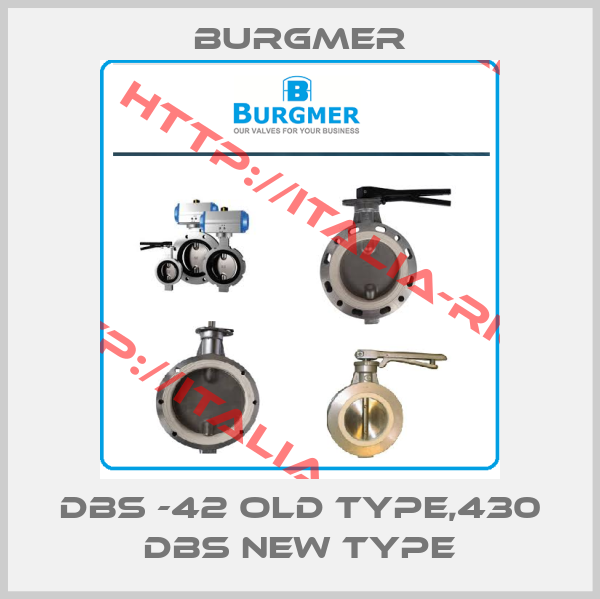 Burgmer-DBS -42 old type,430 DBS new type