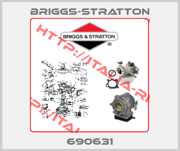 Briggs-Stratton-690631