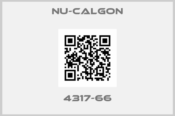 Nu-Calgon-4317-66
