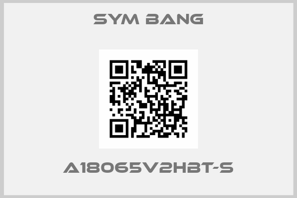SYM BANG-A18065V2HBT-S