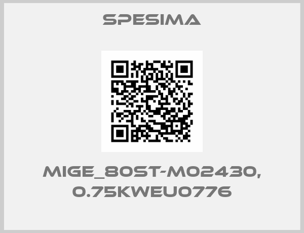 Spesima-MIGE_80ST-M02430, 0.75kWEU0776
