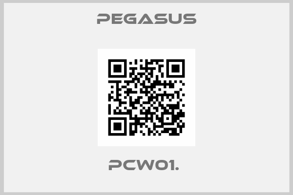 Pegasus-PCW01. 