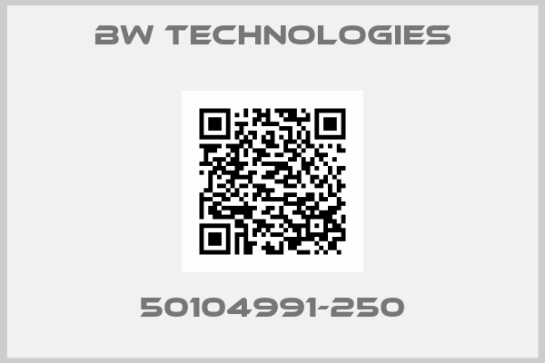 BW Technologies-50104991-250