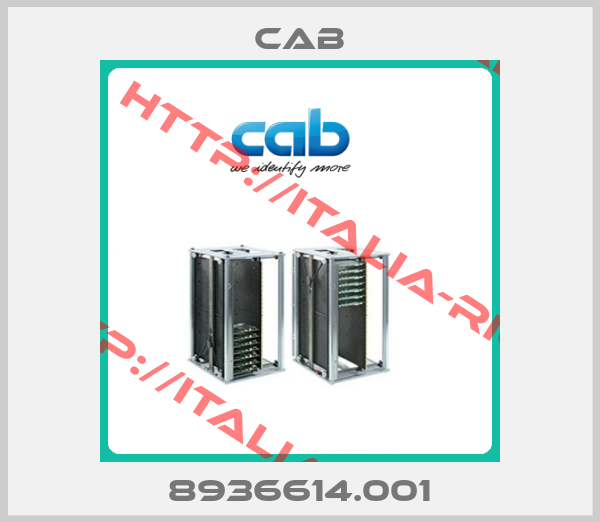 cab-8936614.001