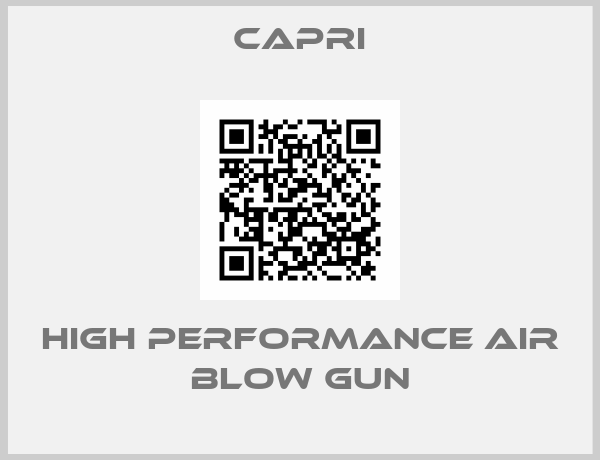 CAPRI-High Performance Air Blow Gun