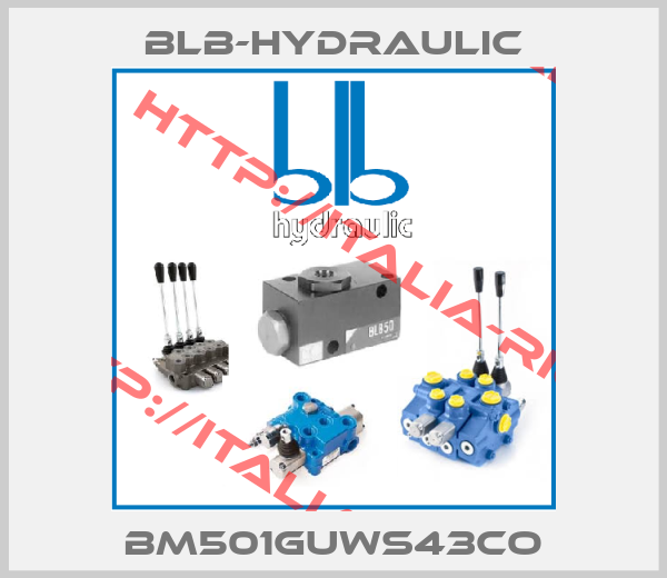 Blb-hydraulic-BM501GUWS43CO