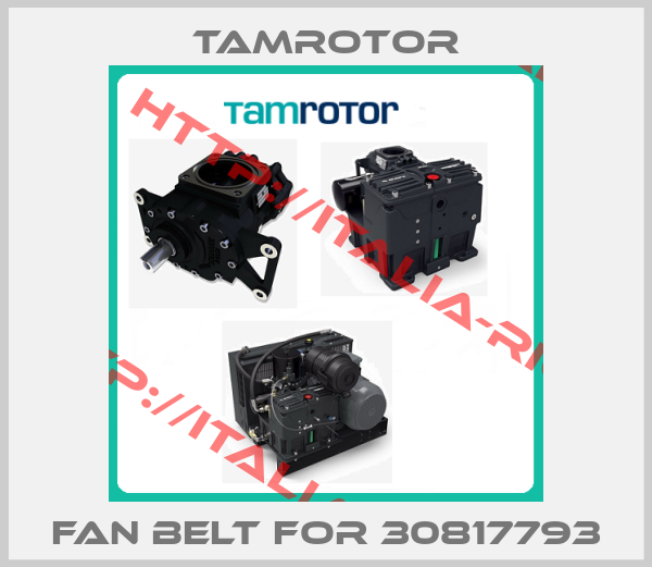 TAMROTOR-fan belt for 30817793