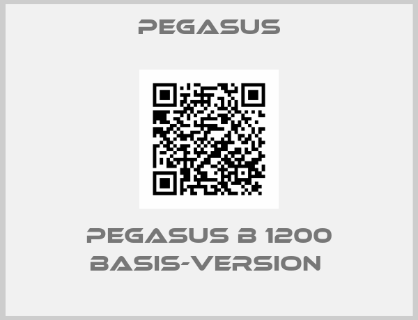 Pegasus-PEGASUS B 1200 BASIS-VERSION 