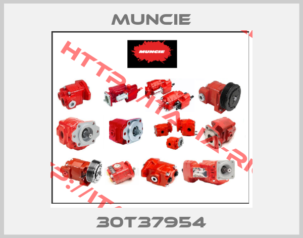 Muncie-30T37954