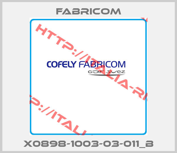 FABRICOM-X0898-1003-03-011_B