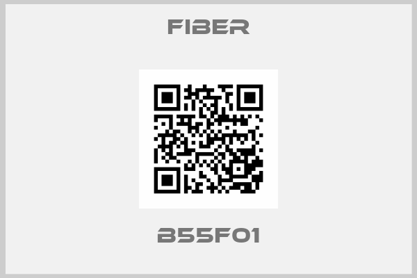 Fiber-B55F01