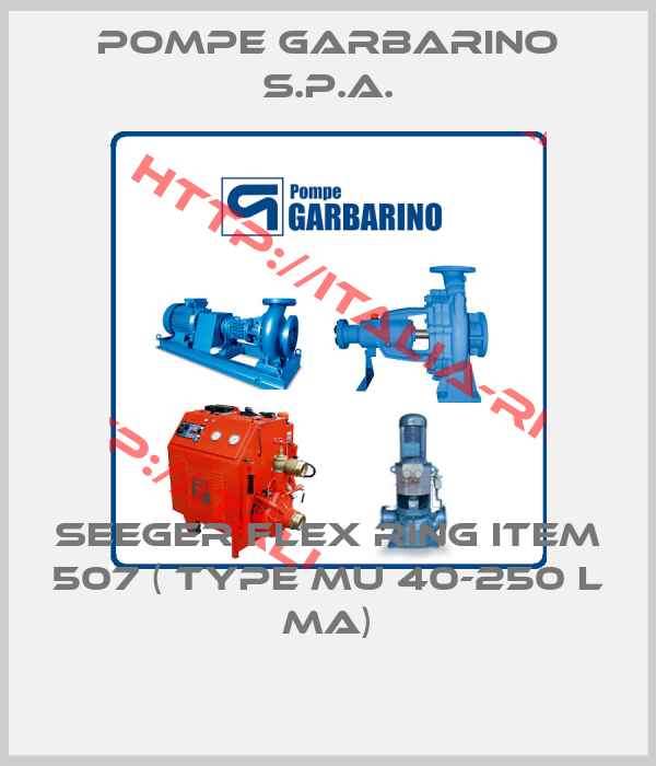 Pompe Garbarino S.P.A.-Seeger flex ring item 507 ( type MU 40-250 L MA)