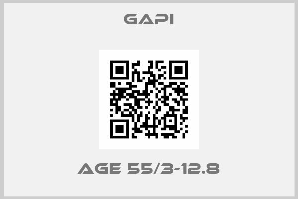 Gapi-AGE 55/3-12.8