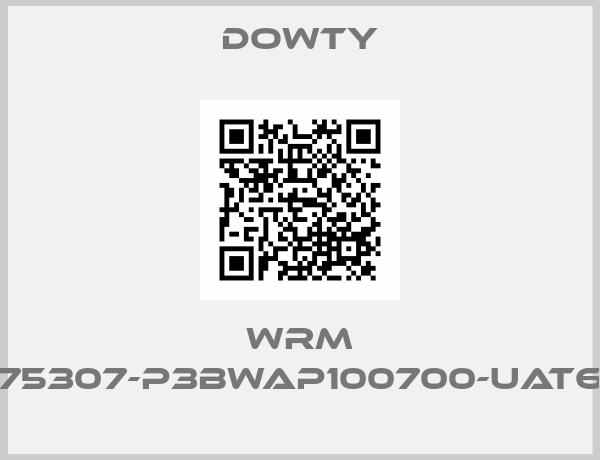 DOWTY-WRM 275307-P3BWAP100700-UAT62