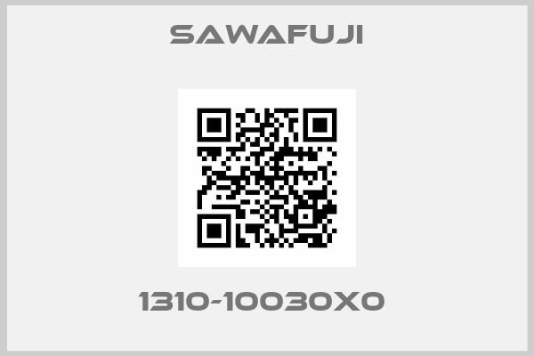 Sawafuji-1310-10030X0 